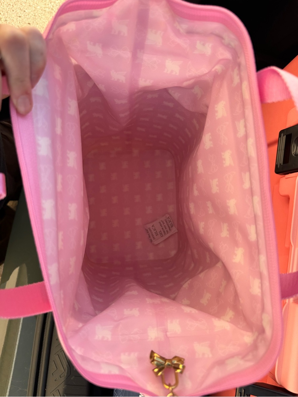 Stanley 1913 x LoveShackFancy All Day Madeleine Mini Cooler Backpack - Picture 3 of 8